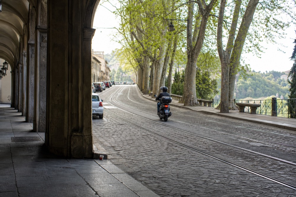 Cyclist riding an e-bike up a tree-lined street toward a city viewpoint.