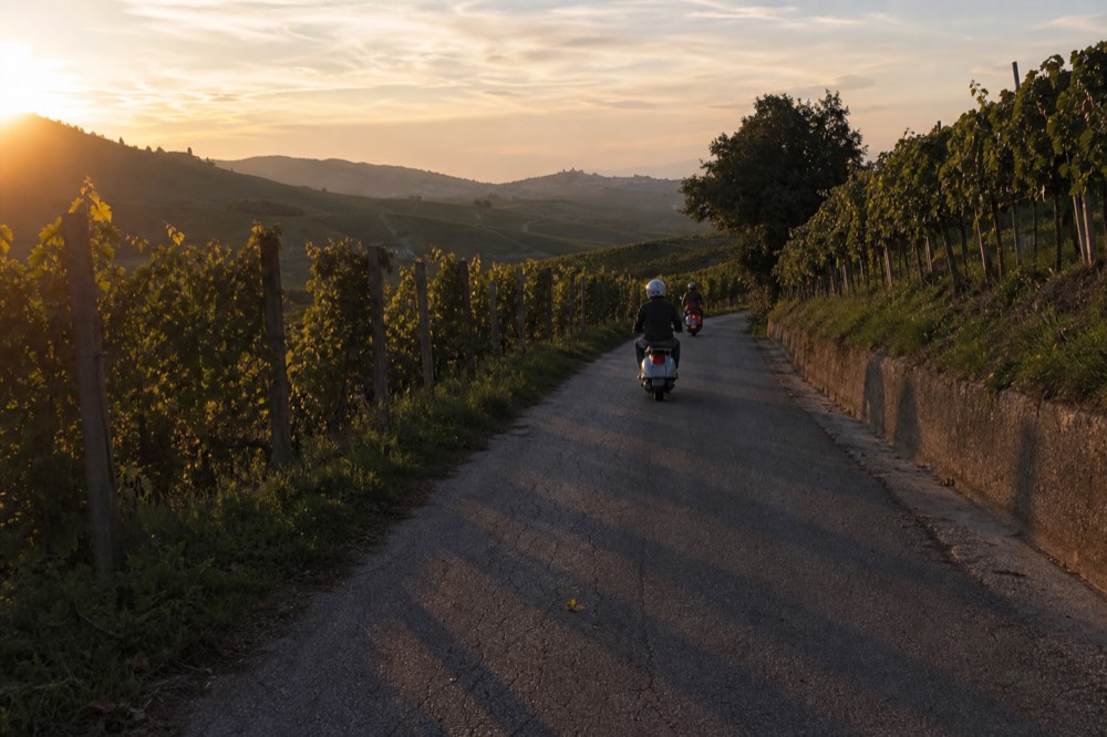 Two cyclists in single file riding a narrow road between vineyard rows at golden hour.