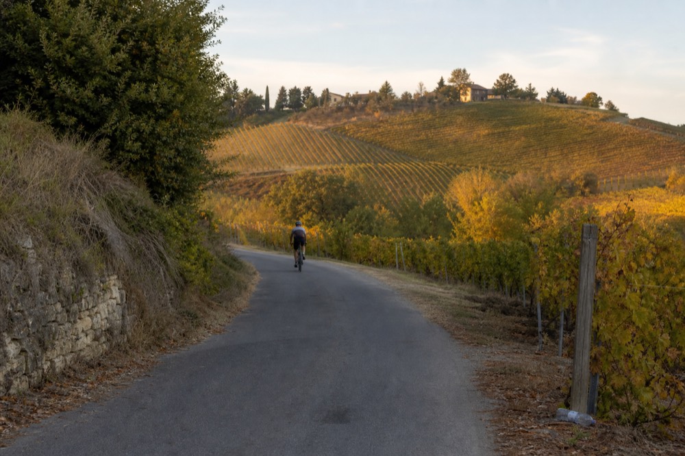 A cyclist on a quiet road through Langhe vineyards in autumn.