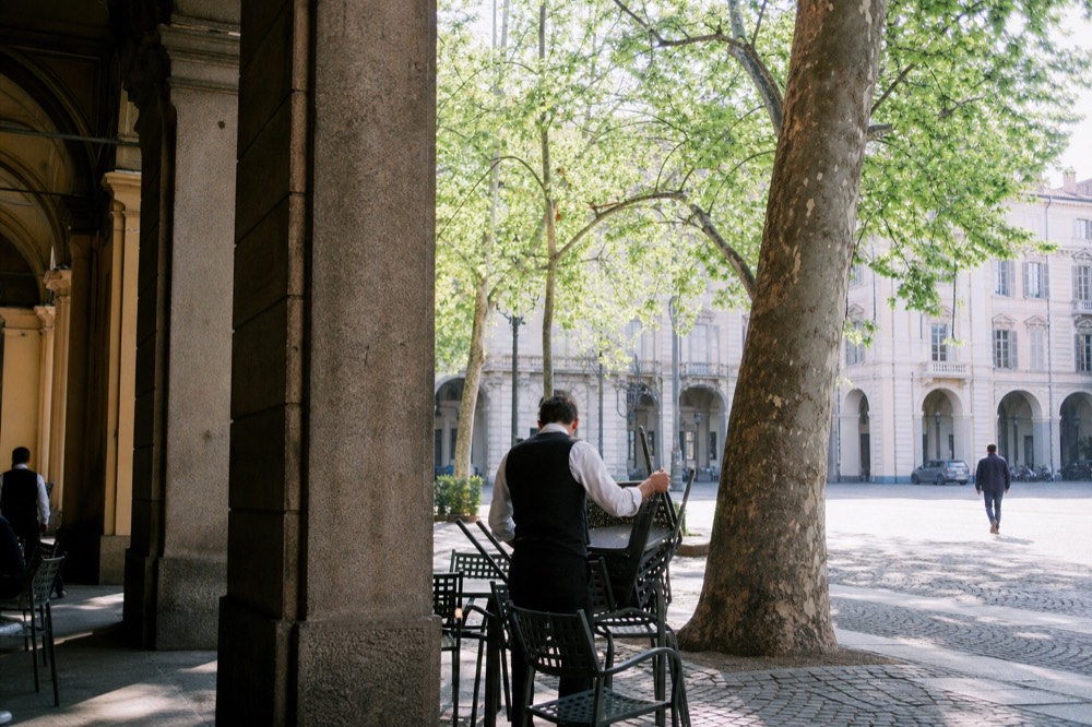A tree-lined Turin piazza in late spring light.