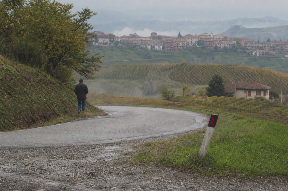 Quiet country road climbing between terraced vineyards toward a hilltop village in the Langhe.