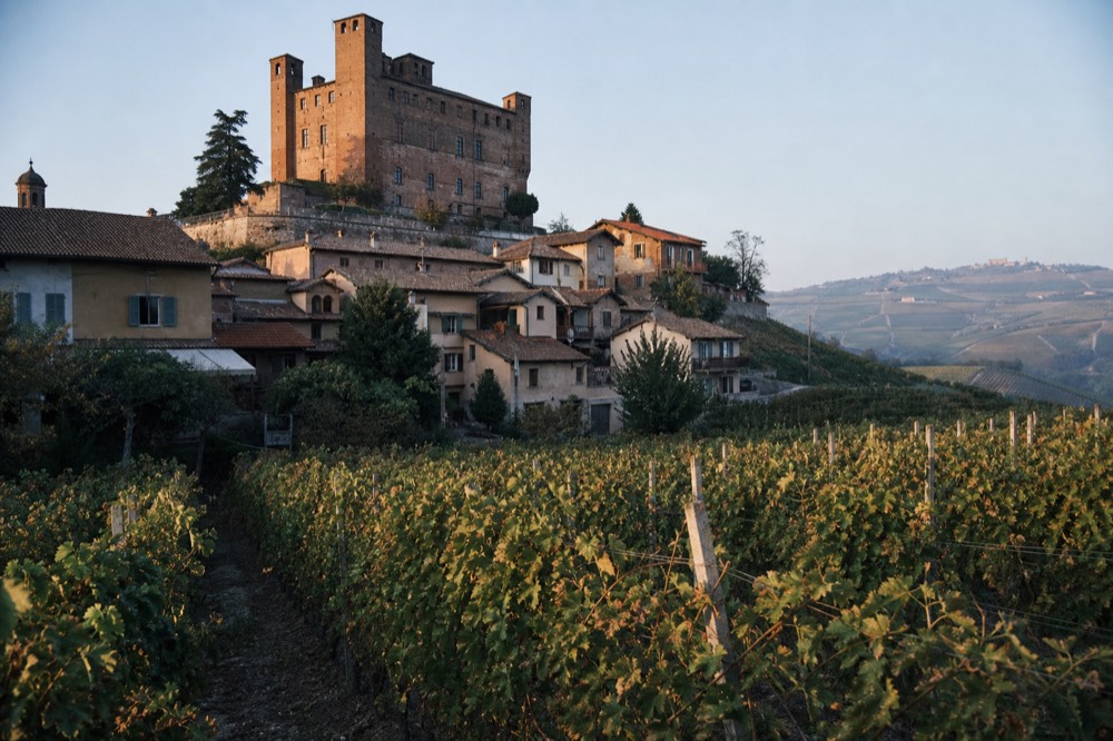 Hilltop village rooftops above rows of Nebbiolo vines on a clear morning in the Barolo hills.