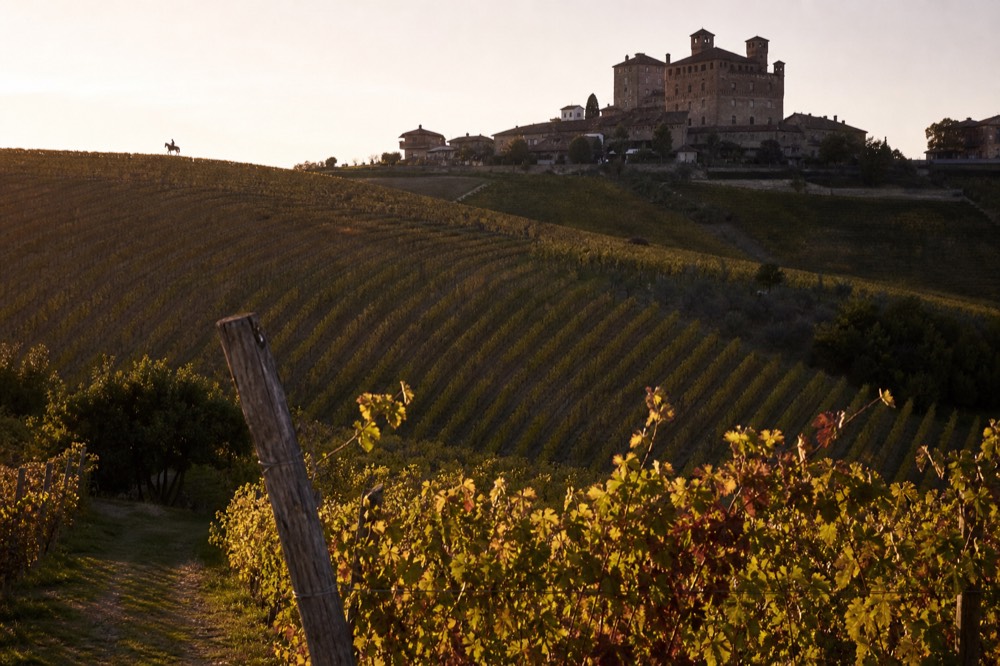Sunset light over terraced hillside vineyards with a small stone village on the ridge.