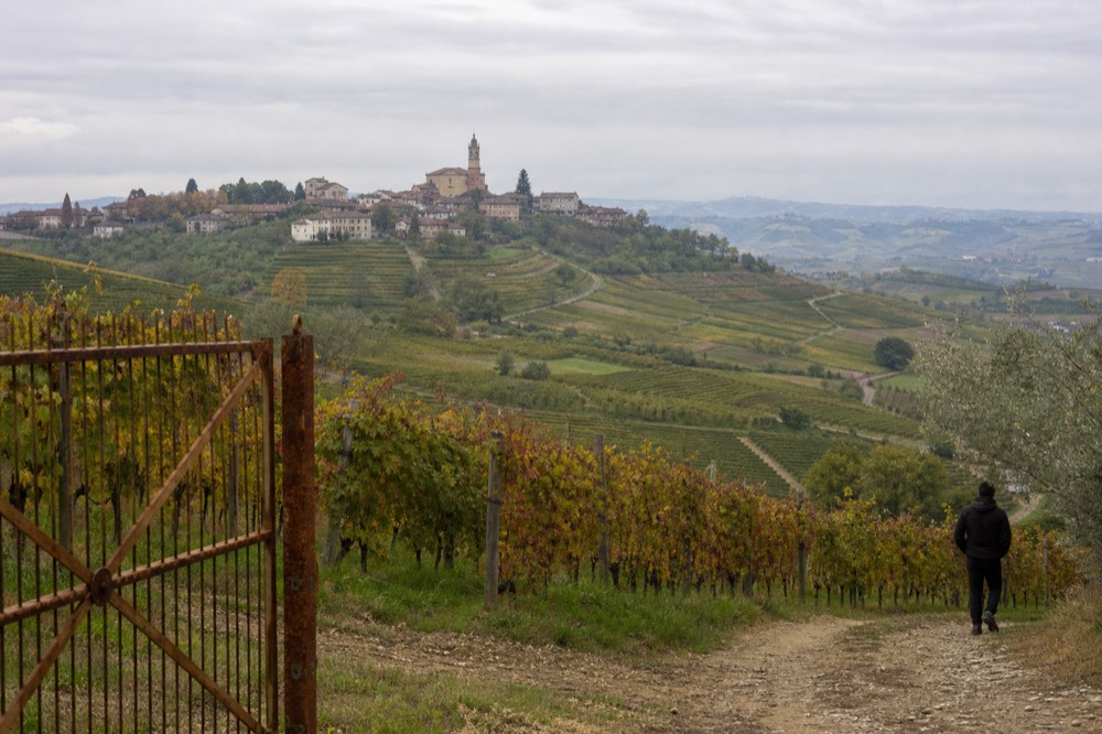 Rolling vineyard hills near a small Monferrato village.