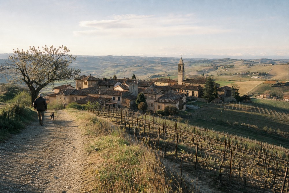 Vineyard-covered hills south of Turin stretching toward a stone wine village.