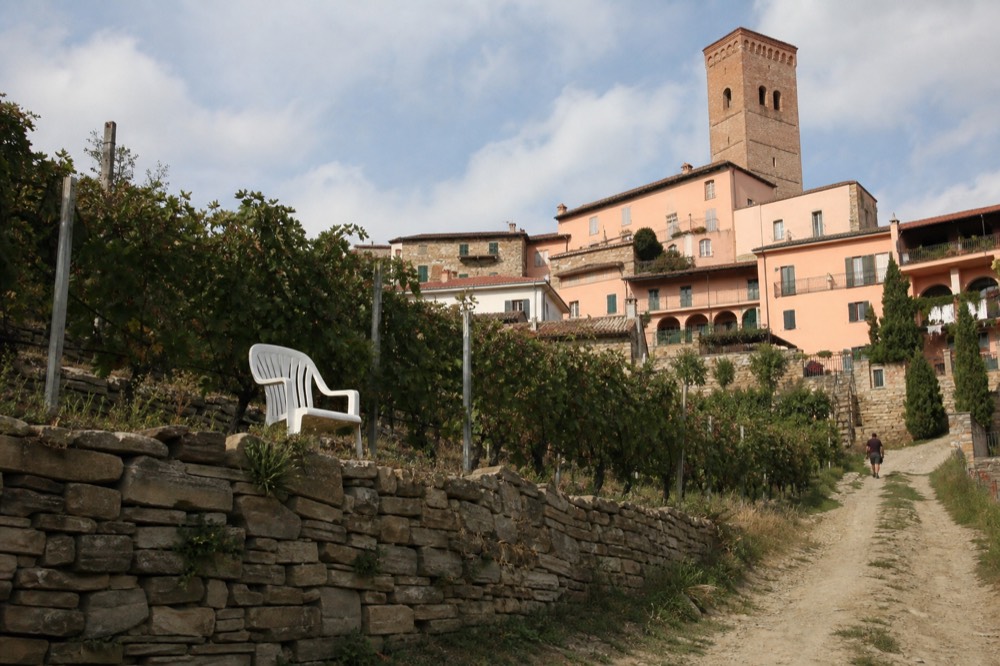 Rows of Nebbiolo vines on a terraced hillside above Barbaresco village.