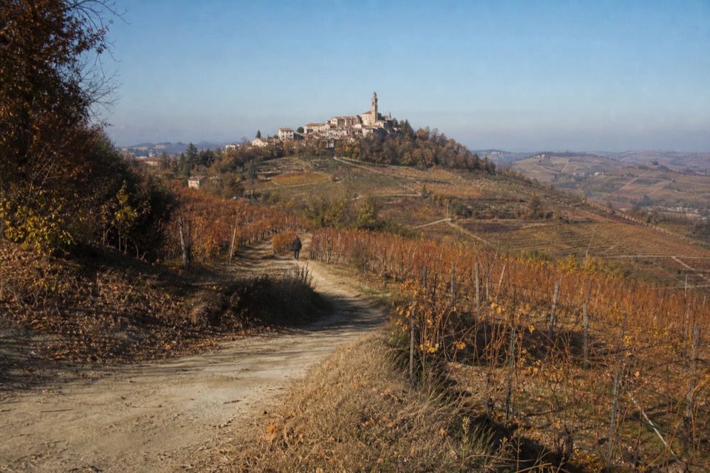 Vineyard rows in autumn colour on a ridge above a hilltop village.