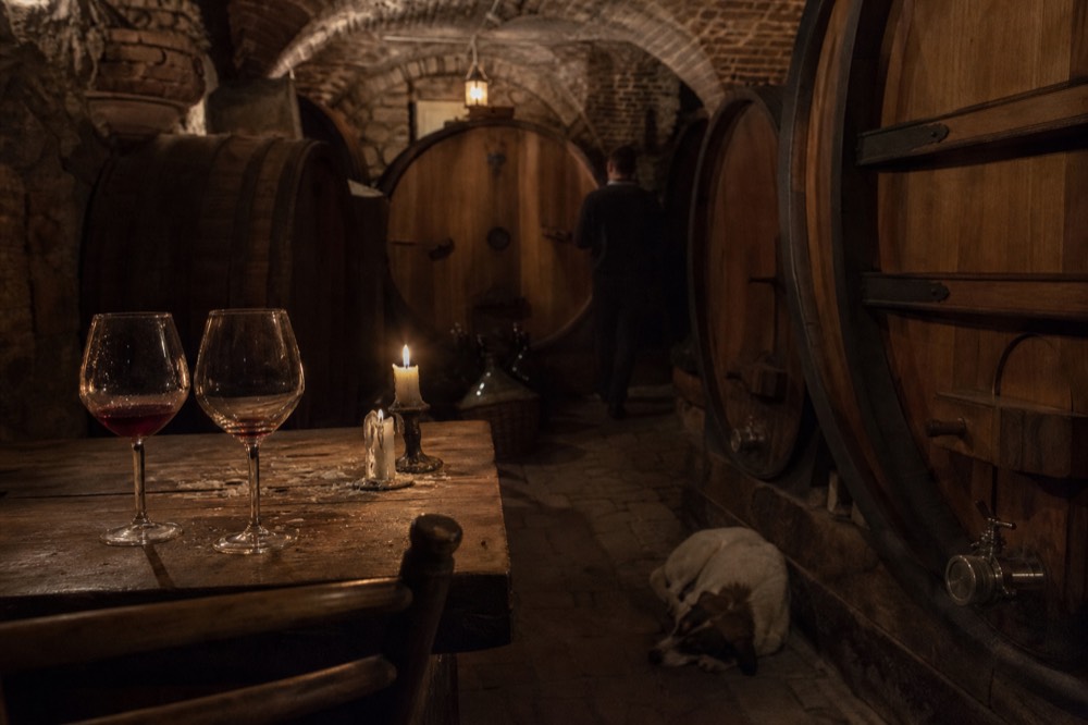 Wine glasses on a wooden cellar table with barrels behind.
