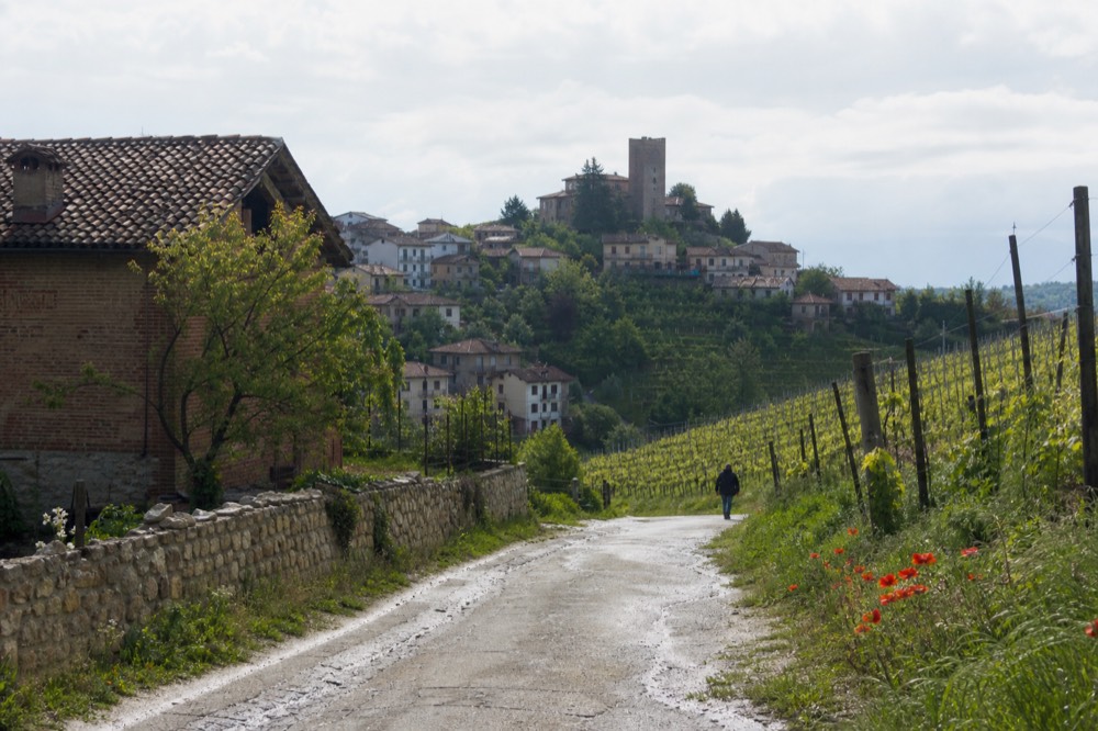 Country road winding between vineyard-covered hills toward a hilltop hamlet.