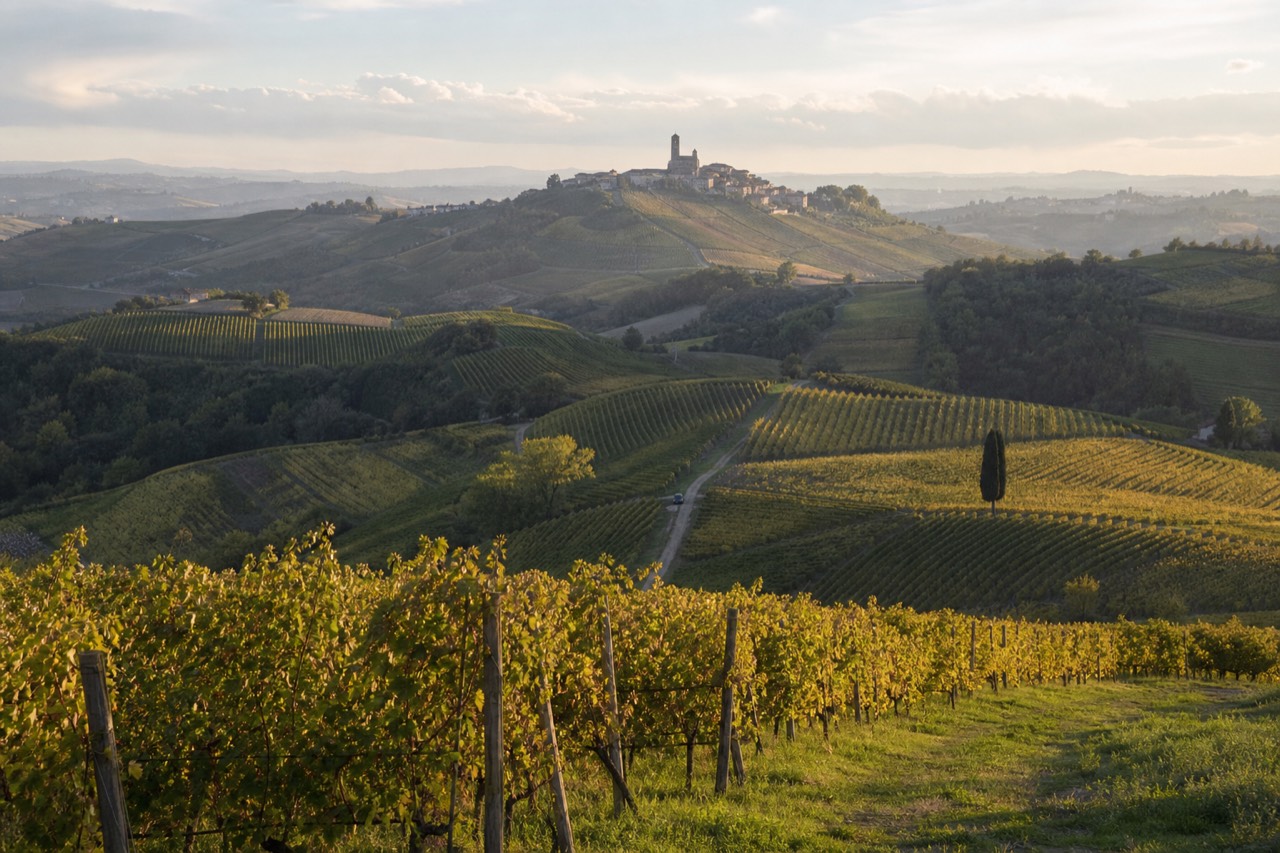 Rolling vineyard hills of the Langhe with a stone village on a ridge.