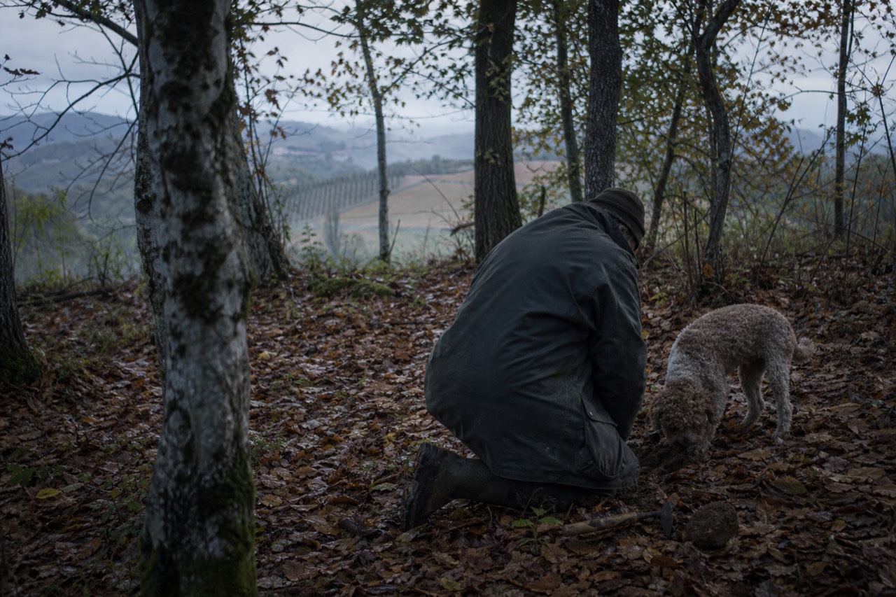 Truffle hunter with dog in a Langhe forest.