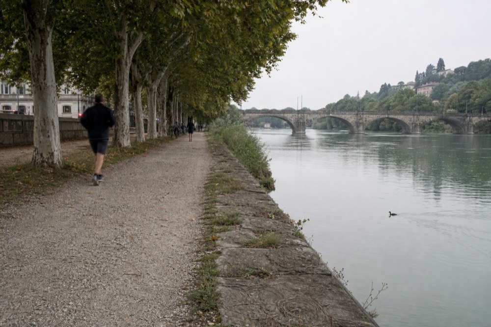 A riverside cycle path in Turin beside the Po with trees and a bridge.