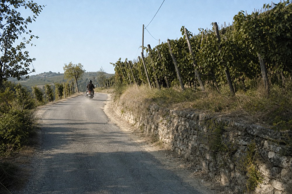 A road winding through terraced Langhe vineyards south of Turin.