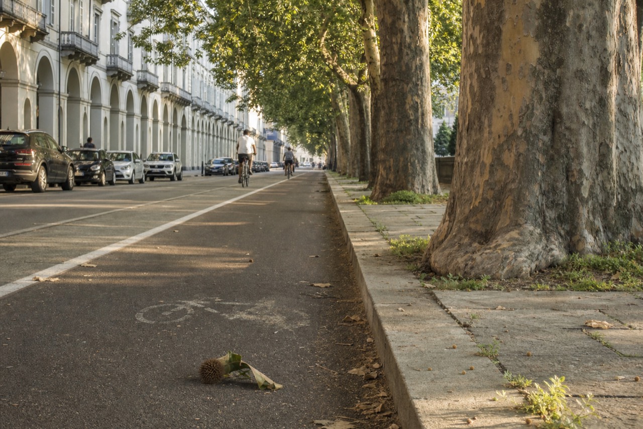 Cyclists riding along a tree-lined Turin boulevard with arcaded buildings behind.