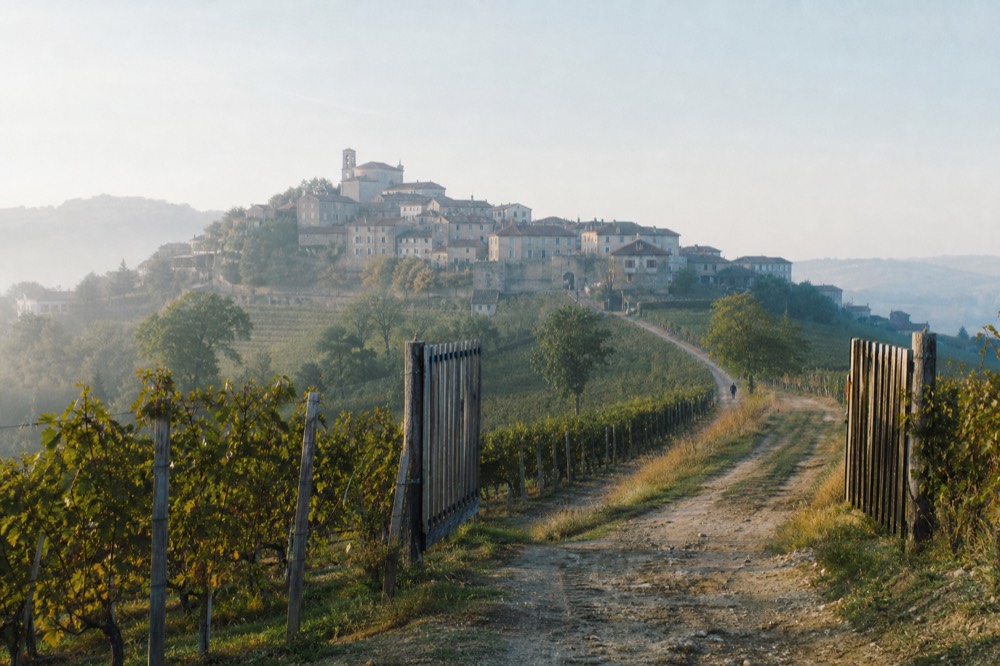 A stone wine village above rows of Nebbiolo vines on a Langhe ridge.
