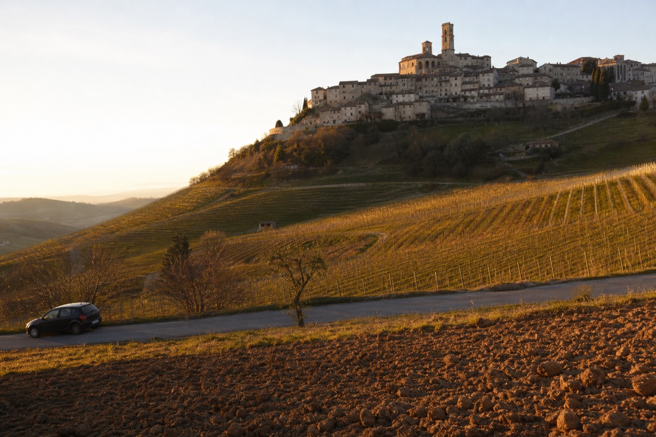 Terraced vineyards and a hilltop village in the Langhe at golden hour.