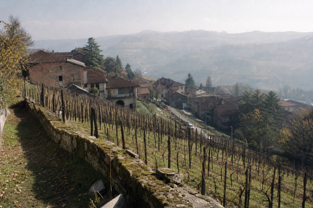 Terraced Nebbiolo vineyards above a Langhe village.