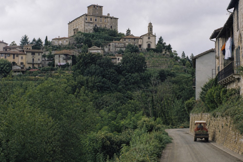Stone village perched on a wooded hilltop above vineyards in the Langhe.