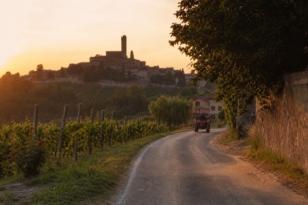 Country road curving between vineyard hills toward a hilltop village at sunset.