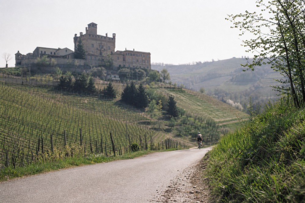 A cyclist on a quiet road winding between terraced vineyards in the Langhe.
