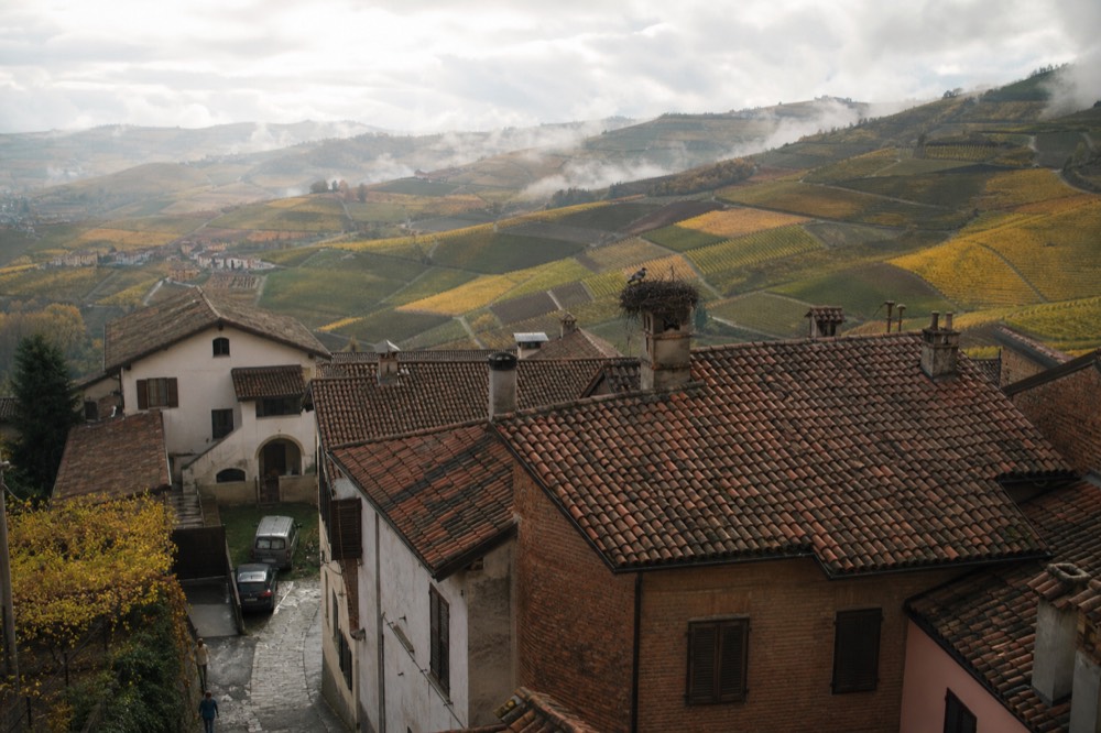 Barolo village rooftops surrounded by terraced Nebbiolo vineyards in autumn.
