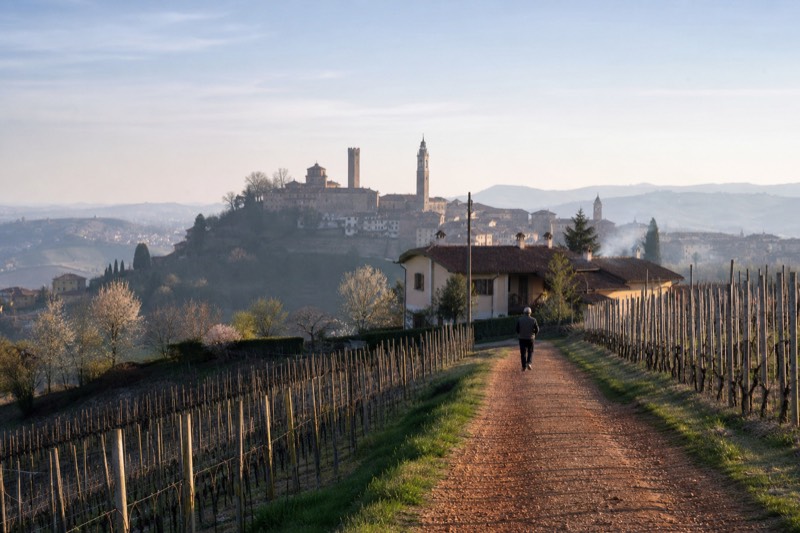 Category card showing the towers of Neive and Barbaresco above the vineyards between Alba and the Roero
