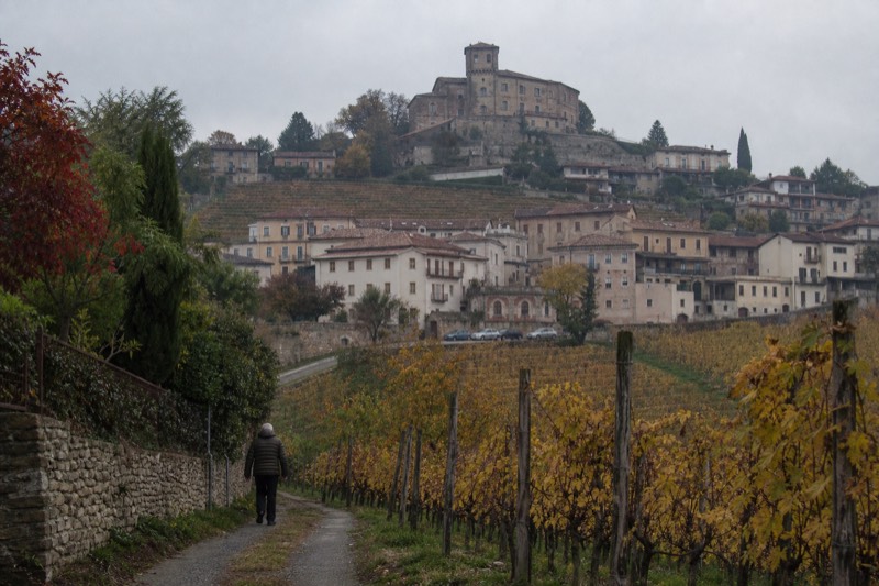 Category card showing the hilltop village of Barolo and its surrounding vineyards in the Langhe, Piedmont