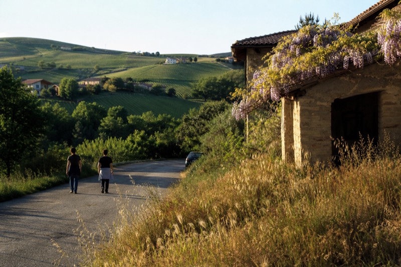Category card showing rolling Monferrato hills and an infernot cellar village near Asti, Piedmont
