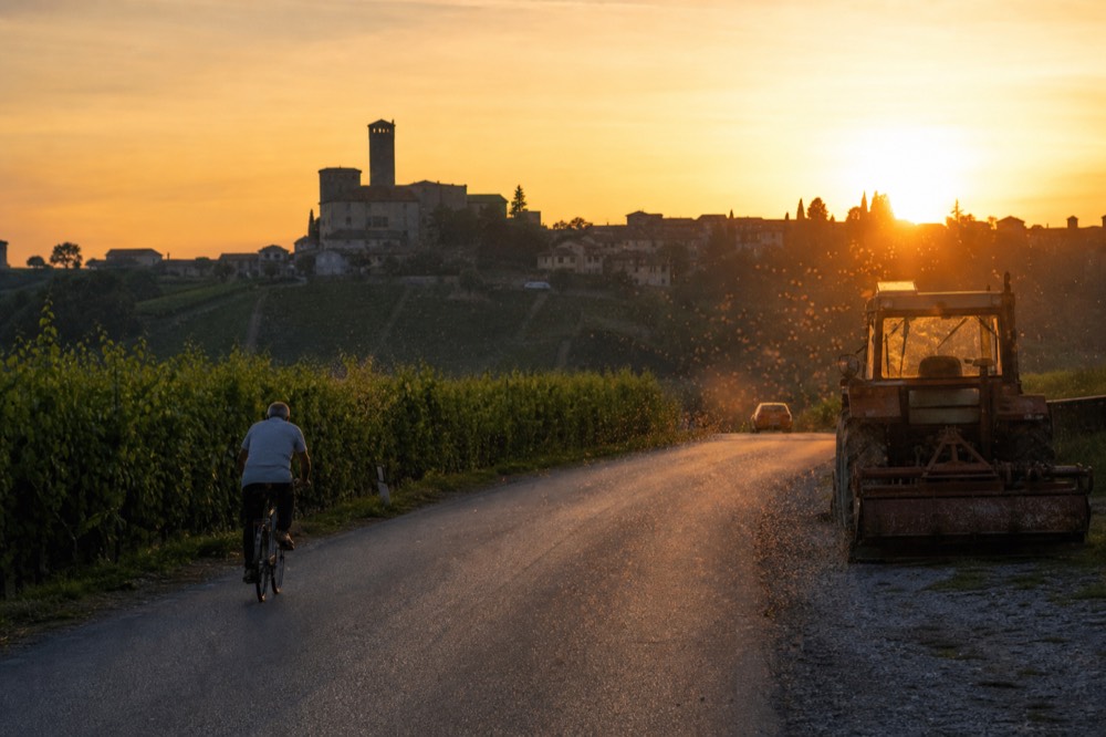 Sunset over Barbaresco vineyards with a bicycle silhouette.