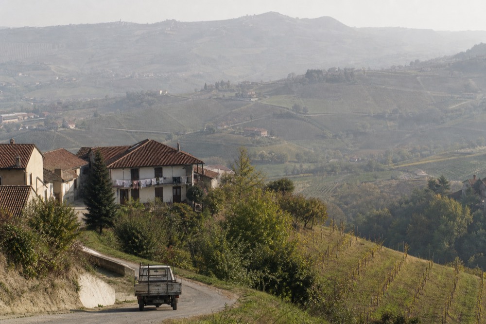 Rolling vineyard hills near Alba.