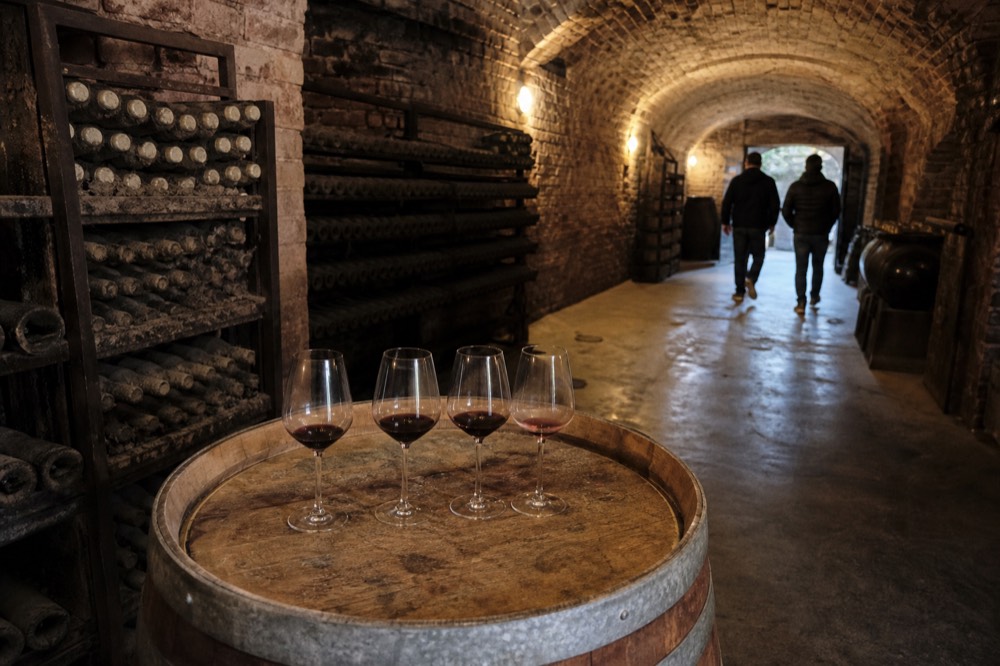 Wine glasses on a table in a Langhe cellar.