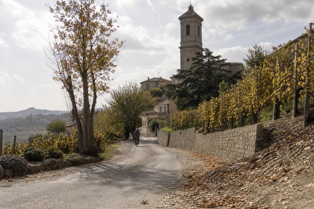 E-bike parked beside a vineyard road.