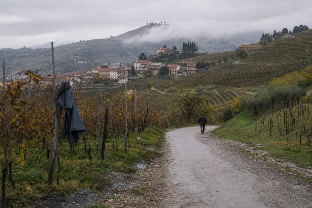 Wine hills road winding between terraced vineyards near Barolo.