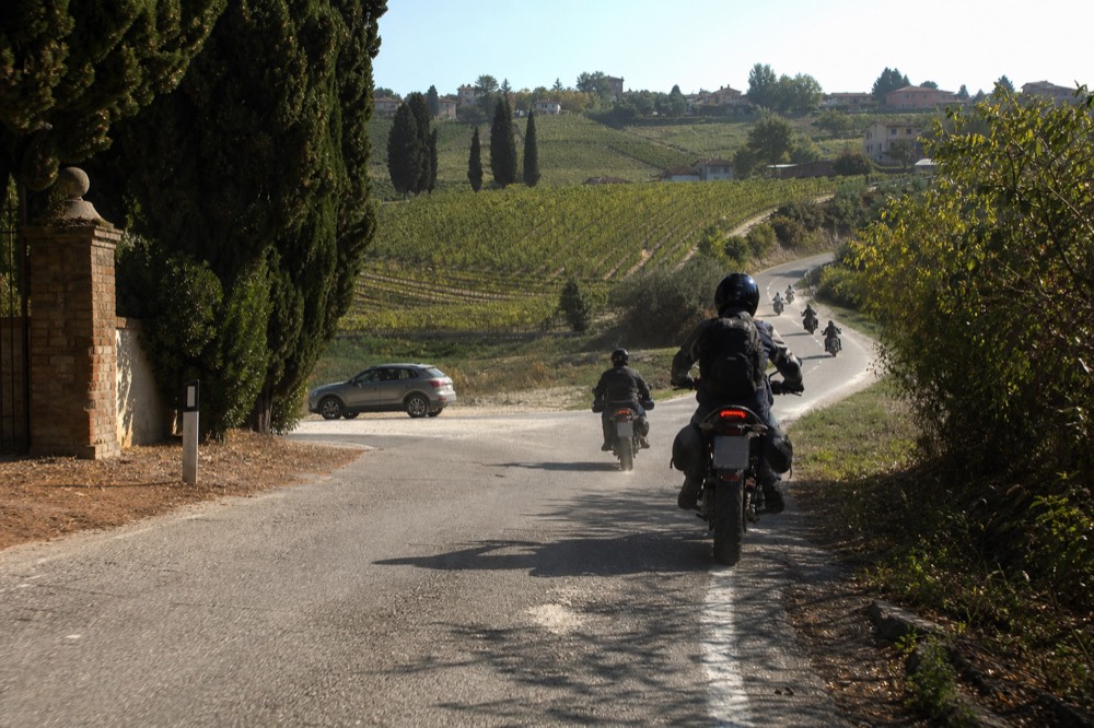 Cyclists riding single file on a quiet Langhe country road.