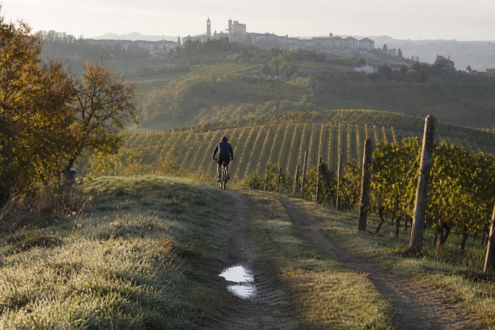 A rider on an e-bike passing Nebbiolo vineyards on a ridge road.