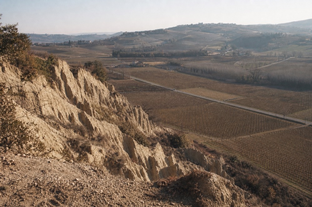 Sandstone cliff face of the Rocche del Roero above vineyards.