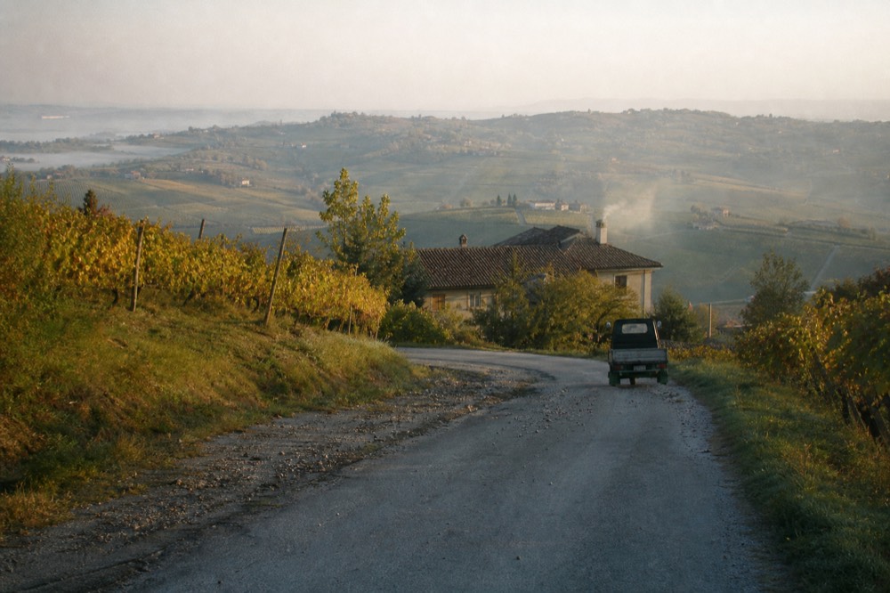 A rolling farm road between vineyards in the Monferrato near Asti.