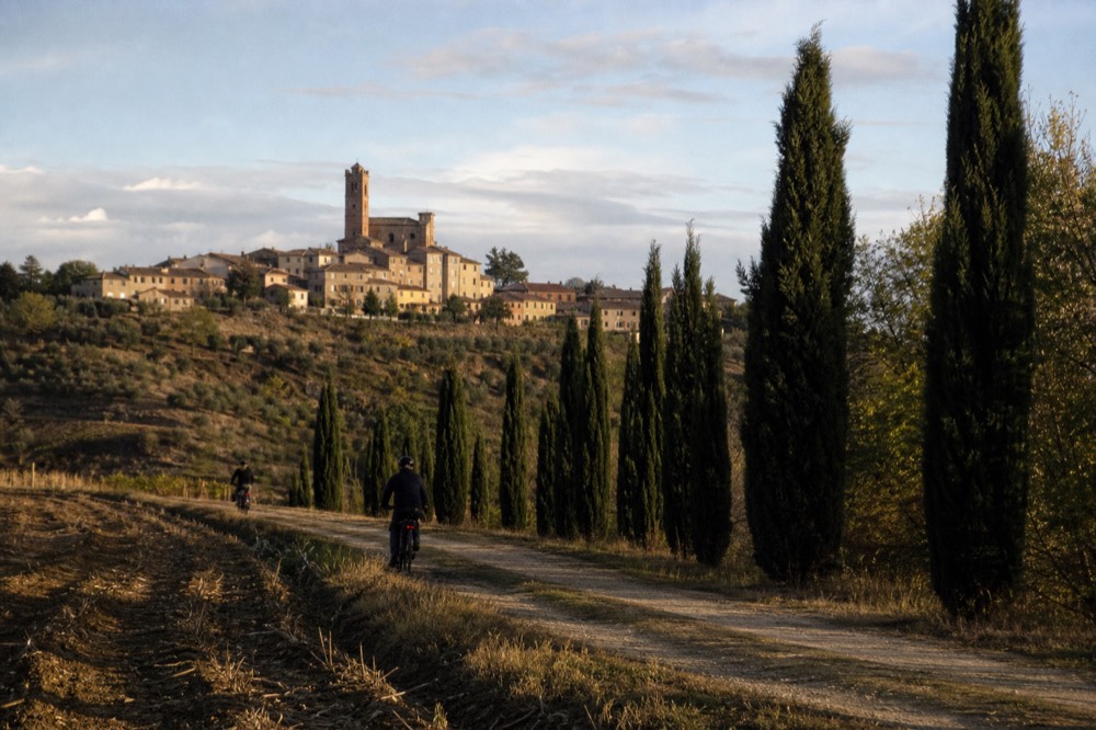Cyclists on e-bikes passing a row of cypress trees near an Asti hilltop village.