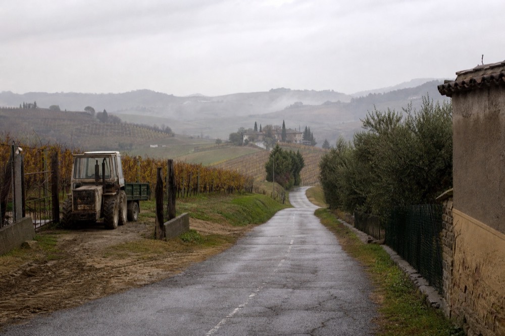 A waymarked country lane between Monferrato vineyards with hills beyond.
