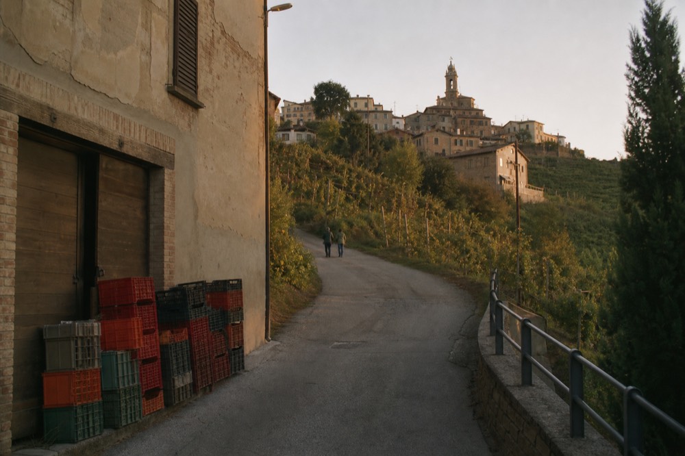 A country lane winding between vineyard rows toward a hilltop Langhe village.