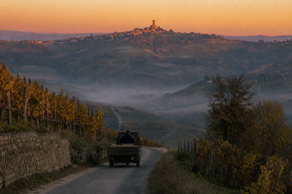 Sunset light over layered vineyard hills with a distant hilltop village.