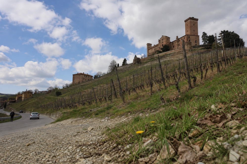 Steep vineyard slope with road climbing toward a hilltop village.