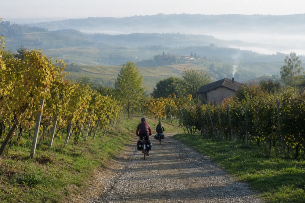 E-bike riders on a quiet Langhe lane between vineyard rows.