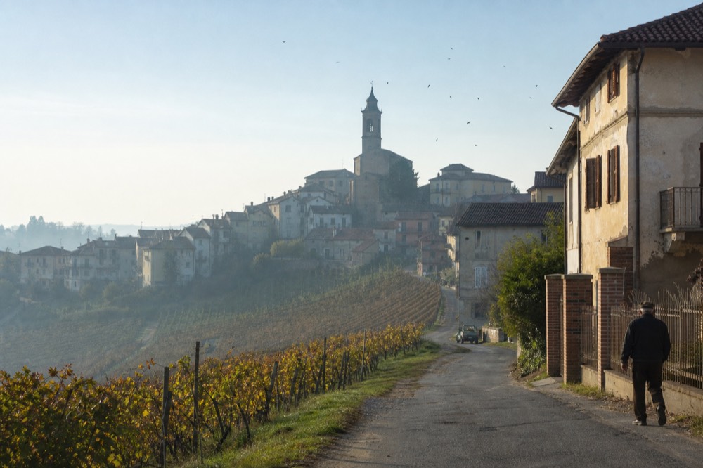 Monferrato hill village above Barbera vineyards in morning haze.