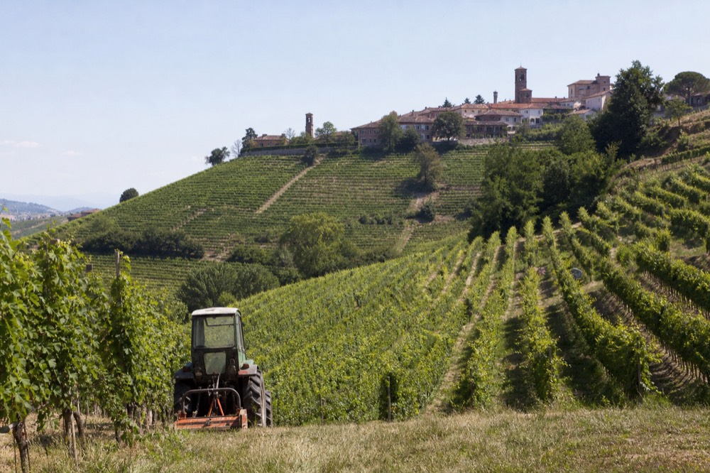 Terraced Nebbiolo vineyards rolling toward a hilltop wine village.