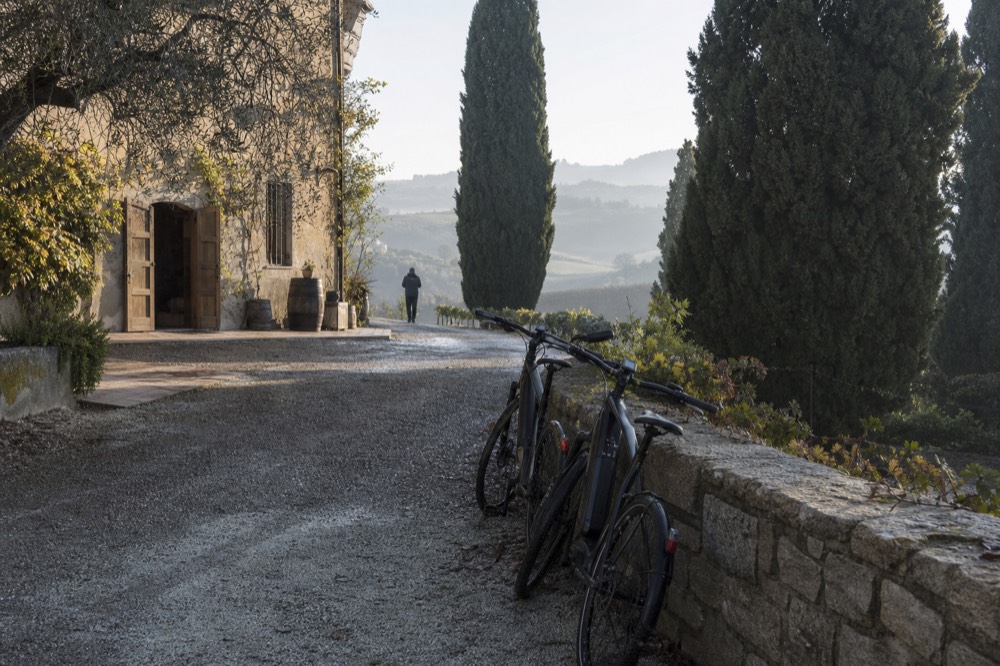 E-bikes parked outside a Langhe winery among cypress trees.
