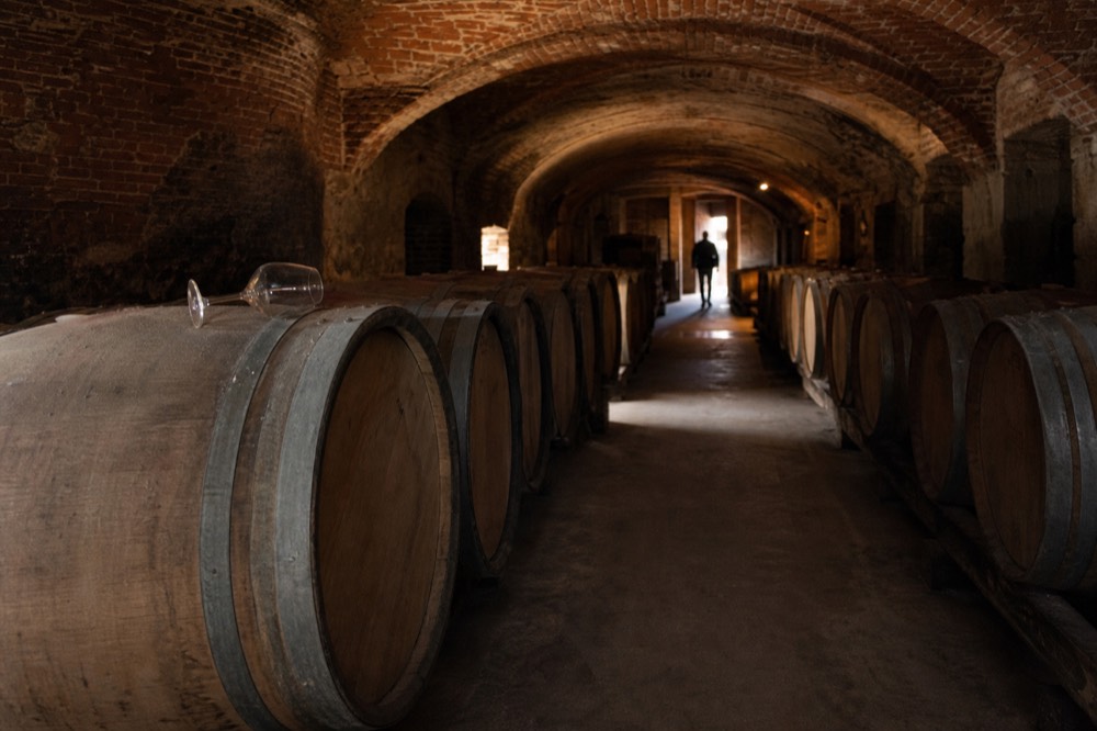 Oak barrels in a vaulted cellar lit by warm lamps.