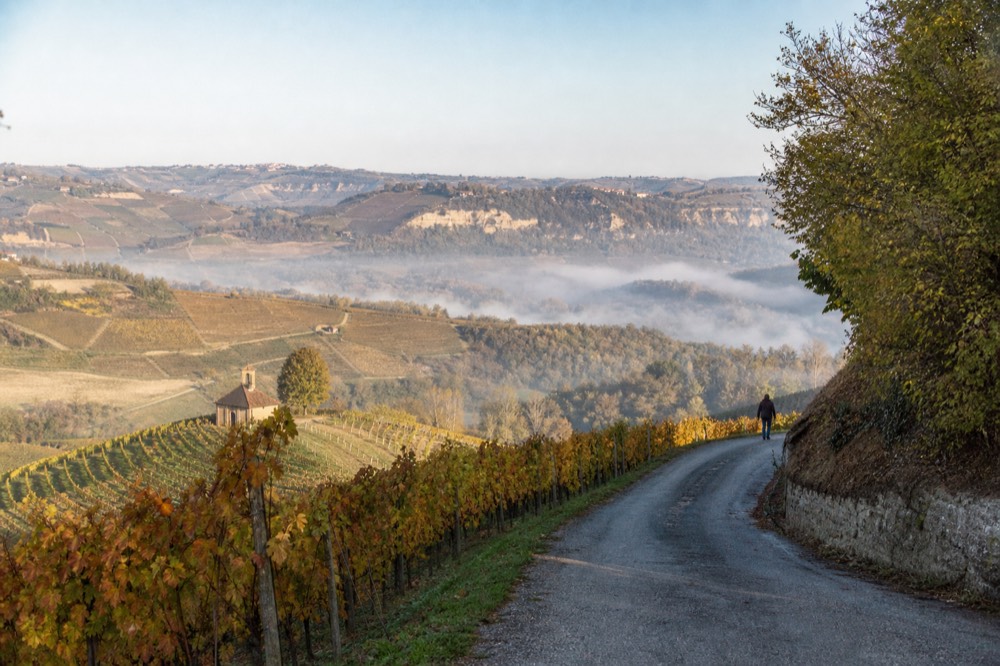 A ridge lane above Barbaresco looking across the valley to the pale sand cliffs of the Roero.