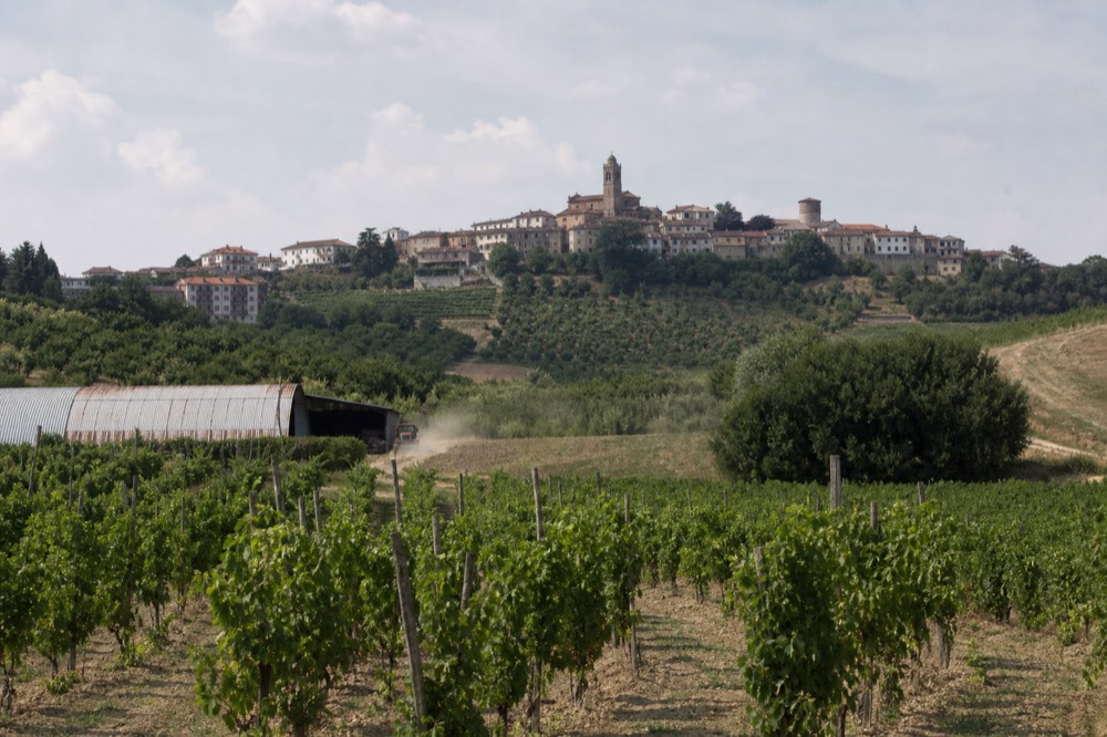 Rolling Barbera vineyards and a hilltop village in the Monferrato.