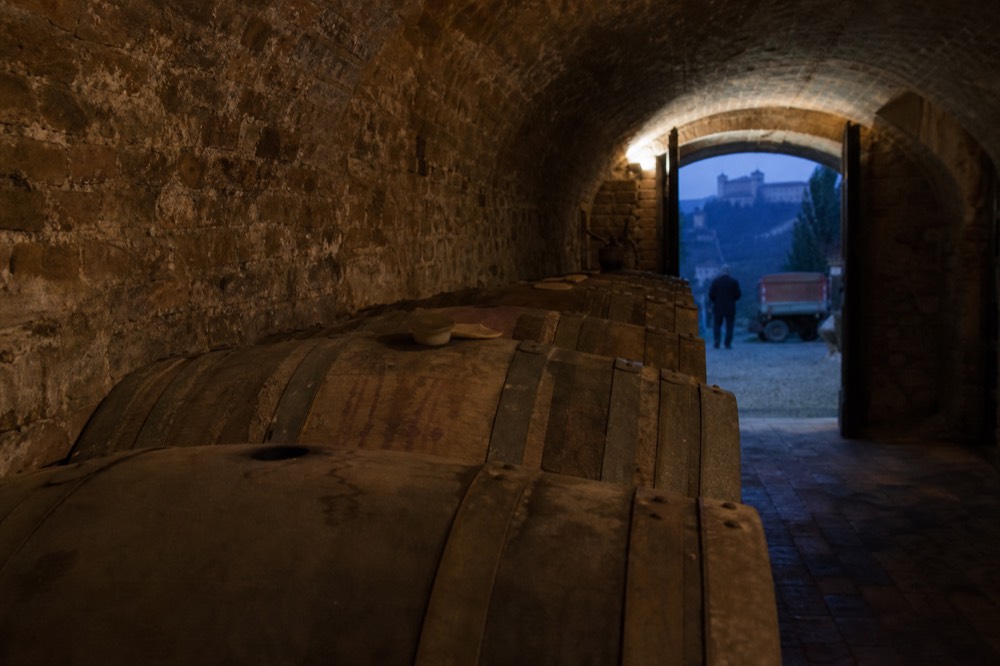 Rows of barrels in a dim Piedmont ageing cellar.
